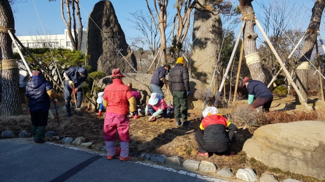  연산홍 외 나무 구입 및 식수