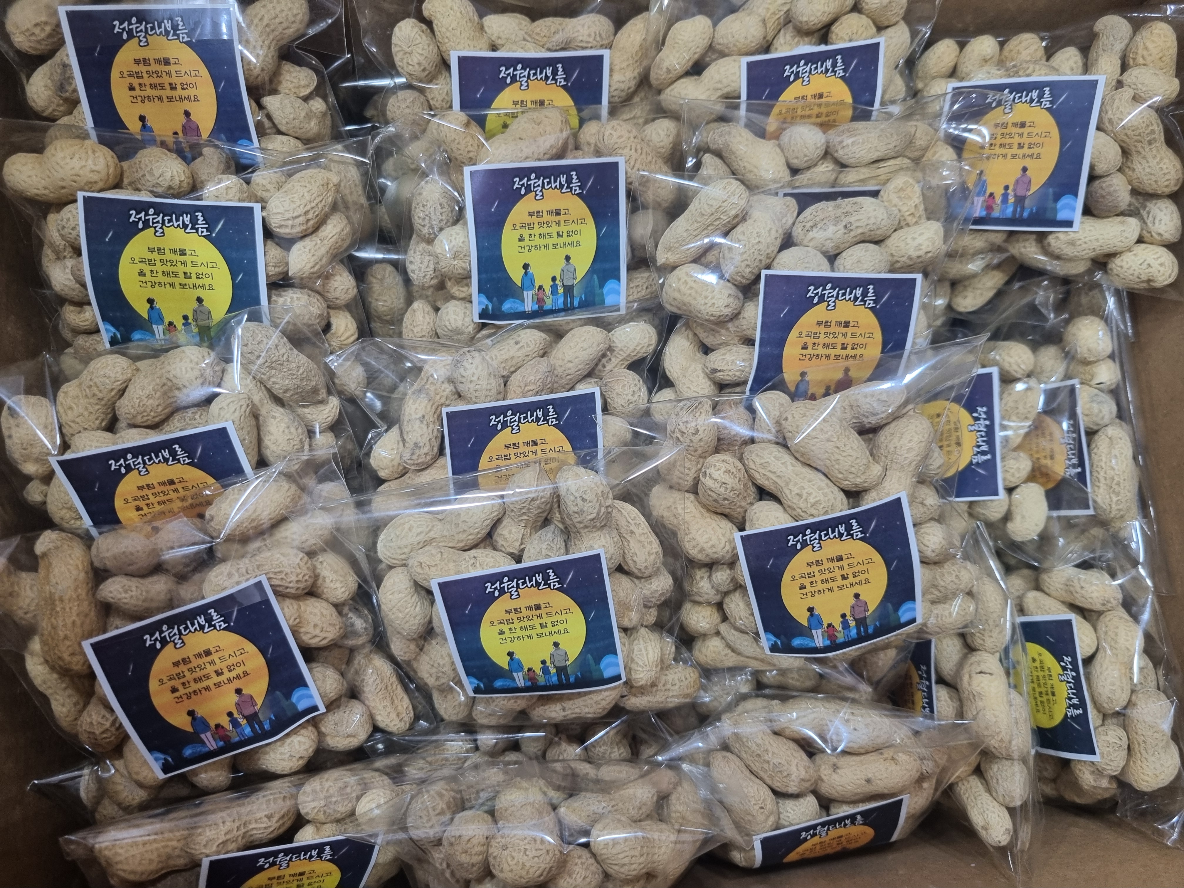 정월 대보름 맞이 특별 프로그램